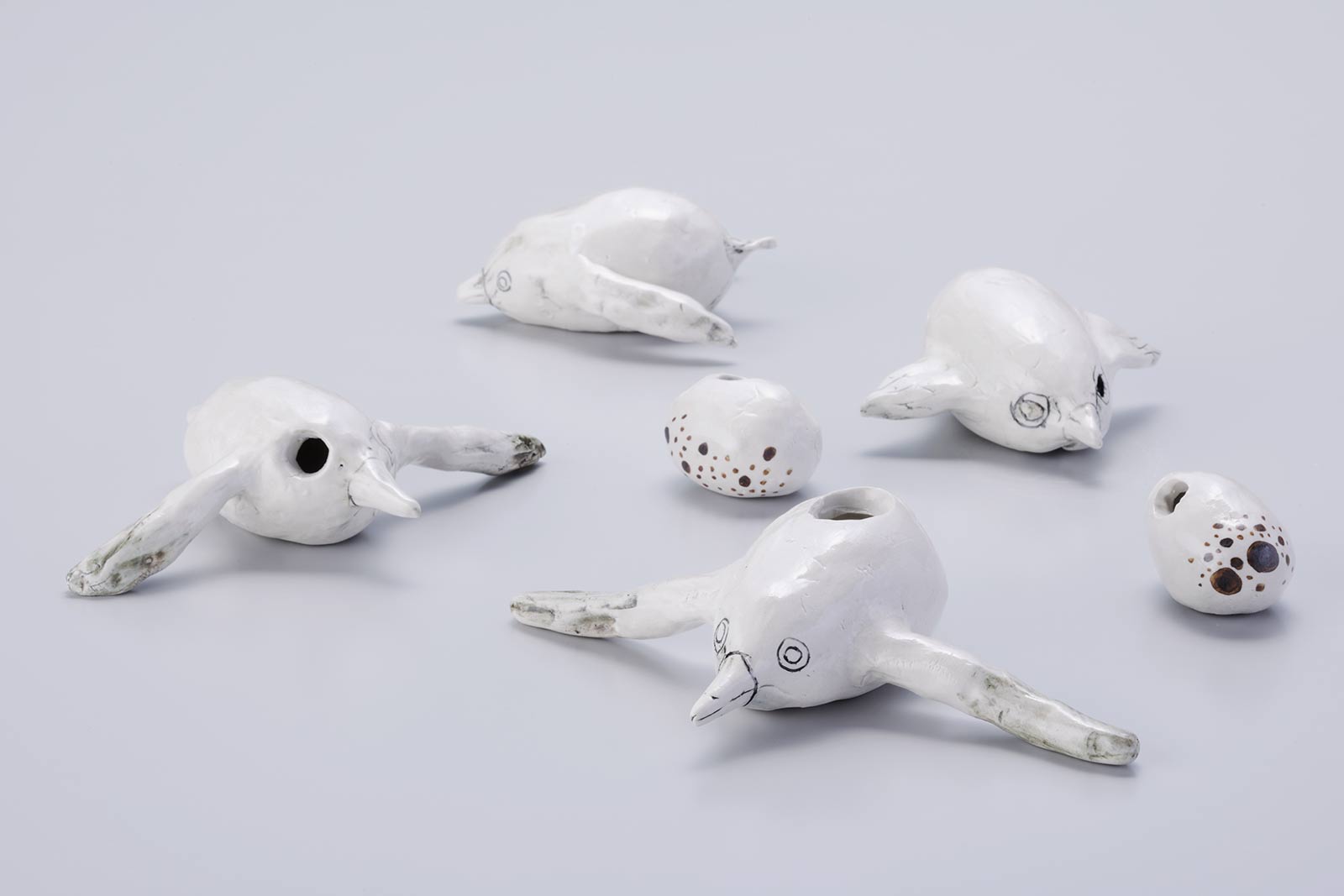 作品 バード birds の写真